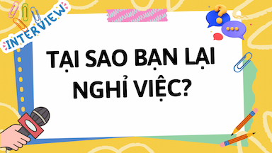 Tại Sao Bạn Lại Nghỉ Việc.png