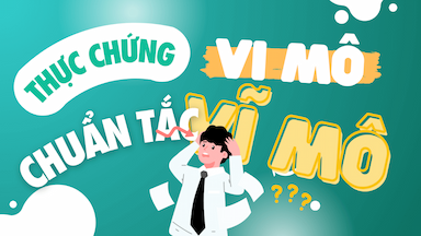 1. Kinh Tế Vi Mô - Vĩ Mô, Chuẩn Tắc - Thực Chứng Phân Biệt Thật Dễ!.png